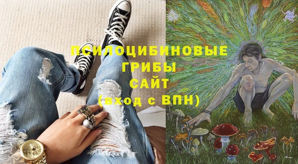 мдма Богородицк