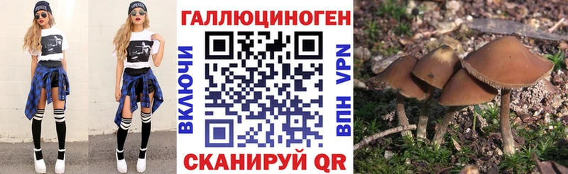 Галлюциногенные грибы MAGIC MUSHROOMS  Купить закладки  Волгодонск 