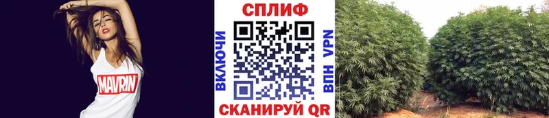 Марихуана Bruce Banner  Купить где  Волгодонск